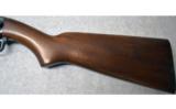 Winchester Model 61
.22LR - 6 of 8