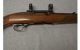 Winchester 101 in .243 WIN - 3 of 8