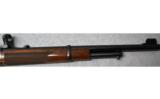 Winchester 94AE in .444 Marlin - 8 of 8