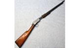 Winchester 1906 In .22LR - 1 of 1