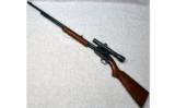 Winchester 61 In .22LR - 5 of 8