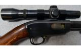 Winchester 61 In .22LR - 3 of 8