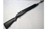 Springfield M1A In .308 - 1 of 8