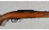 Winchester ~ Model 100 ~ .243 Winchester - 11 of 14