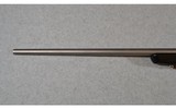 Browning ~ X-Bolt ~ .300 H & H Magnum - 6 of 14
