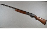 Remington ~ SP-10 Magnum ~ 10 Ga. - 14 of 14