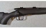 Savage ~ B-Mag ~ .17 Winchester Super Magnum - 11 of 14