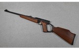 Browning ~ Buck Mark ~ .22 Long Rifle - 14 of 14