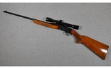 Browning ~ Semi-automatic Rifle ~ .22 Short - 14 of 14