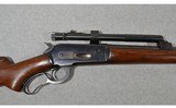 Winchester ~ Model 71 Long Tang ~ .348 W. C. F. - 11 of 14