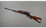 Winchester ~ Model 71 Long Tang ~ .348 W. C. F. - 14 of 14