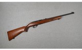 ruger10/22.22 long rifle
