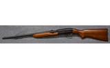Remington~552~.22 S, L, LR - 10 of 10