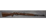 Remington 12 .22 Short/Long/Long Rifle