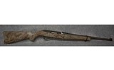 Ruger 10/22 .22 Long Rifle