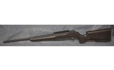 Savage A22 .22 Long Rifle - 10 of 10