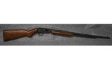 Winchester 61 .22 S, L, LR
