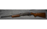 Remington 760 .300 Savage - 10 of 10