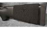 Blaser R93 .375 H&H Magnum - 9 of 10