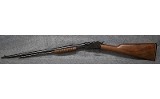 Winchester 62 .22 S, L, LR - 10 of 10