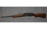 Remington 740 Woodmaster .30-06 Spring - 10 of 10