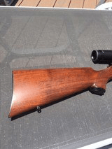 Kimber 84 Classic in .222 Rem - 10 of 10