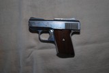 Raven Arms MP25 .25 ACP pistol - 2 of 2