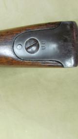 Springfield 1884 Trapdoor Carbine in .45-70 Caliber - 14 of 18
