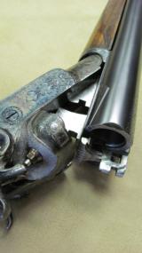 Cockerill Engraved Double Barrel Hammer Shotgun - 19 of 20