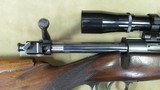 Newton Arms Co. Model 1916 in .256 Newton Caliber with Double Set Triggers and Bushnell Scope - 12 of 20