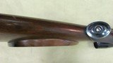 Newton Arms Co. Model 1916 in .256 Newton Caliber with Double Set Triggers and Bushnell Scope - 17 of 20