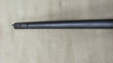 Remington Model 597 Semi-Automatic .22 LR - Dale Earnhart No. 3 - Limited Edition - 12 of 14