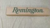 Remington Model 597 Semi-Automatic .22 LR - Dale Earnhart No. 3 - Limited Edition - 13 of 14