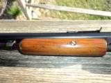 Winchester Model 1906 - 4 of 6
