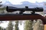 Ruger 44 Standard Carbine
- 11 of 15