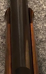 Sauer 202 .375 Holland & Holland W/ Box, tools and Extra Mag - 16 of 18
