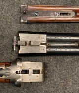 Scholes of Blackburn 12 Gauge Sidelock - 11 of 13