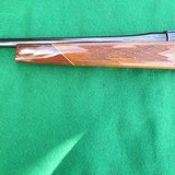 WINSLOW 17  REGAL GRADE BUSH MASTER– MINTY - 3 of 11