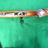 WINSLOW 17  REGAL GRADE BUSH MASTER– MINTY - 5 of 11