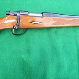 WINSLOW 17  REGAL GRADE BUSH MASTER– MINTY - 7 of 11