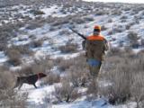 Idaho Hunting Ranch near Boise with Bird Hunting, Mule Deer and Elk hunting! Owner Financing!!! - 7 of 12
