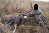 Idaho Hunting Ranch near Boise with Bird Hunting, Mule Deer and Elk hunting! Owner Financing!!! - 8 of 12