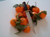 Jean Tanazacq Model "PRAIRIE 1" Hunting Dagger or "Pig Sticker" - 4 of 8
