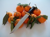 Jean Tanazacq Model "PRAIRIE 1" Hunting Dagger or "Pig Sticker" - 2 of 8