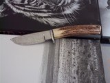 Bill Bagwell Extremely rare Damascus Skinner-Stag Handle-German Silver single guard-Wrist Thong-A SCarcity in Today's Marketplace - 7 of 7