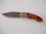 THE MAGNIFICENT HUNTING & CUSTOM KNIVES FROM THIERRY LE SENECAL - 11 of 15