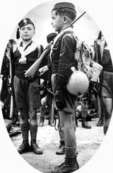 CARCANO ITALIAN YOUTH PRESENTATION RIFLE - 14 of 14