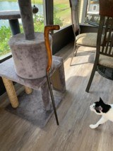 Cane Gun - DAYS CO . - circa Mid 1800’s - 8 of 15