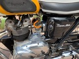 TRIUMPH 1965 T100 SRH - SHOWROOM CONDITION - - 6 of 14