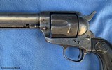COLT SAA
5 1/2